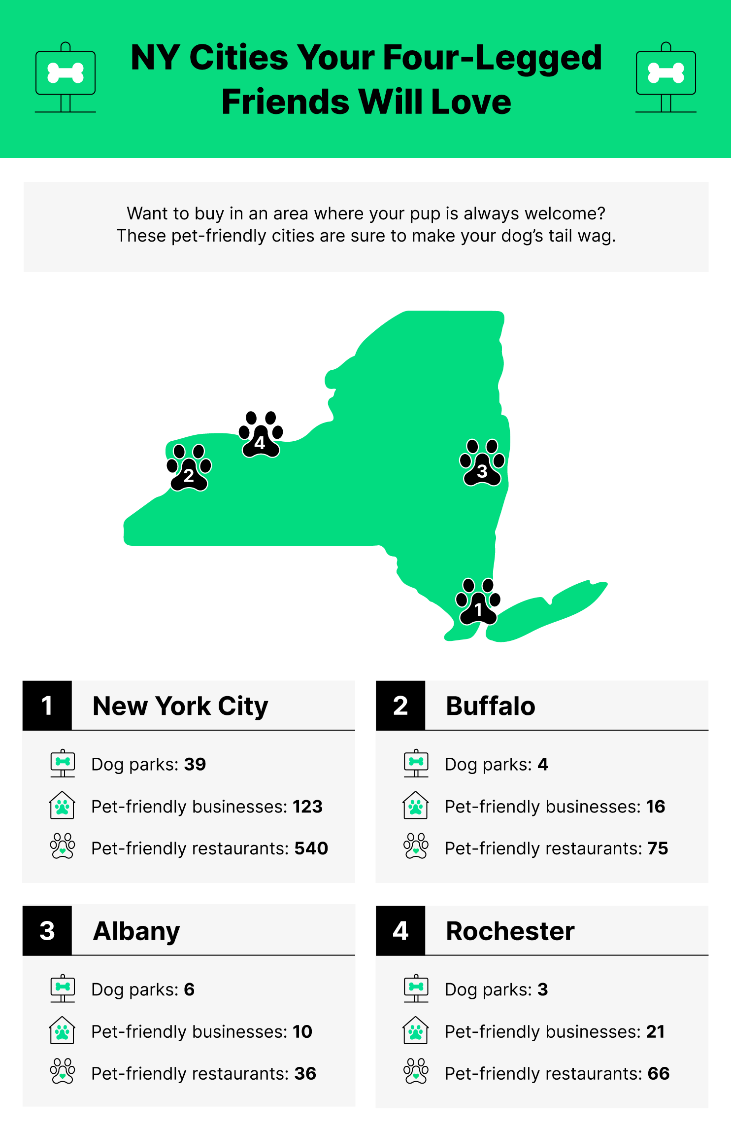 Best cities in New York for dog lovers