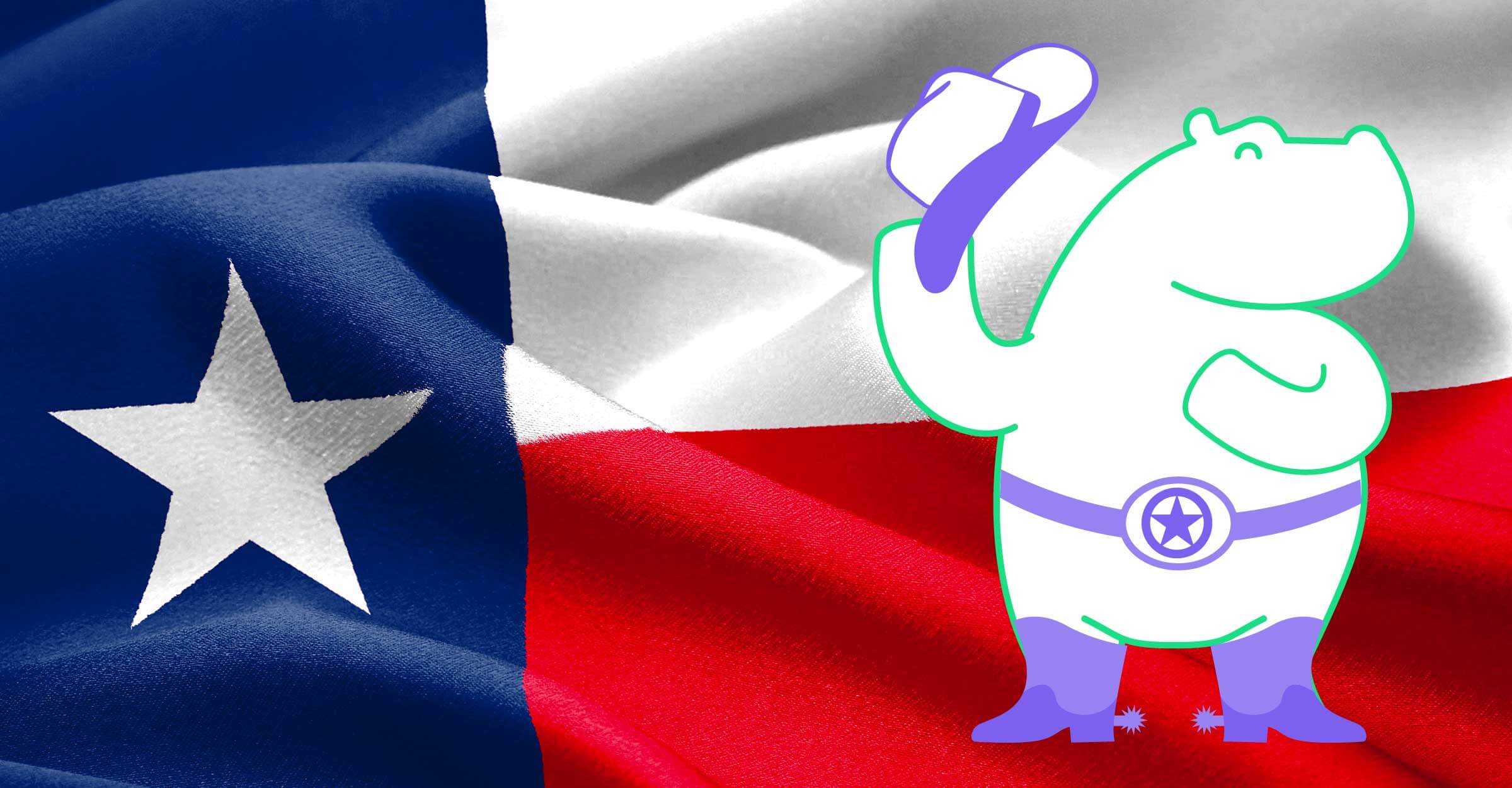 Hippo Doubles Down on Texas