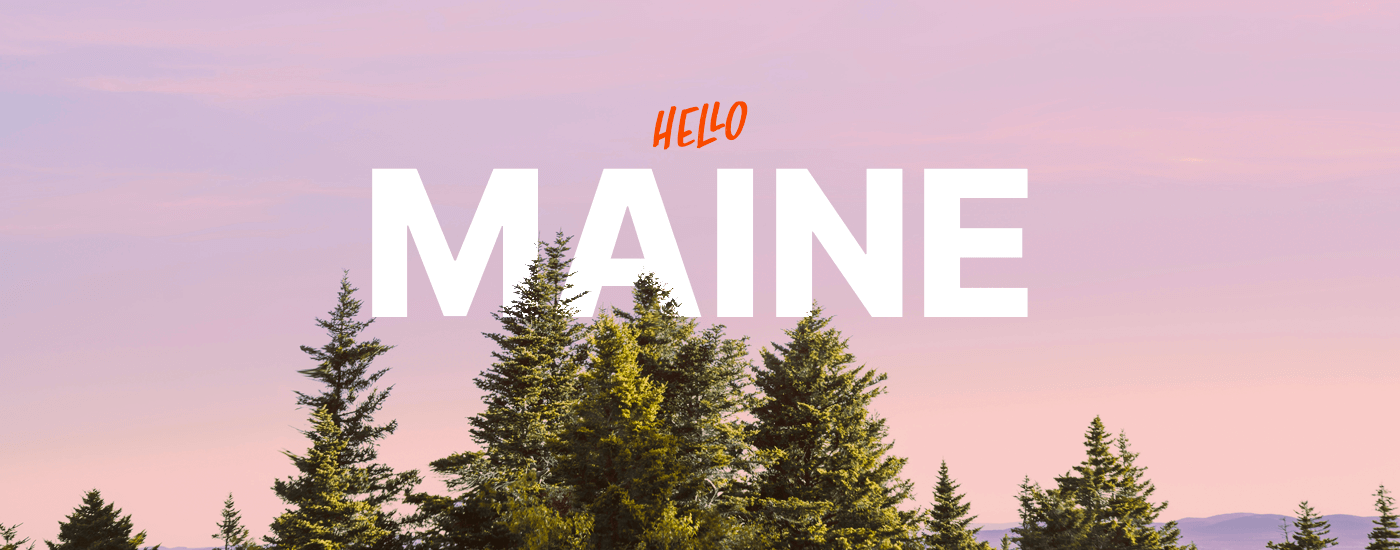 Hippo Insurance Services launches in Maine