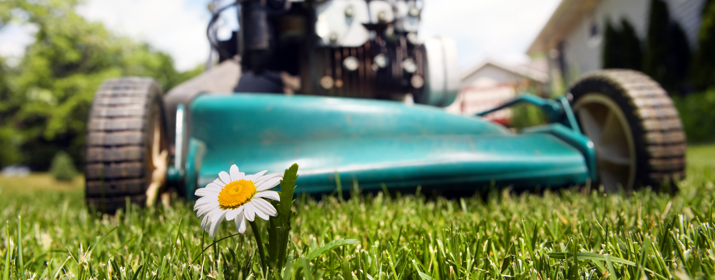 Tips to Maintain Your Lawnmower