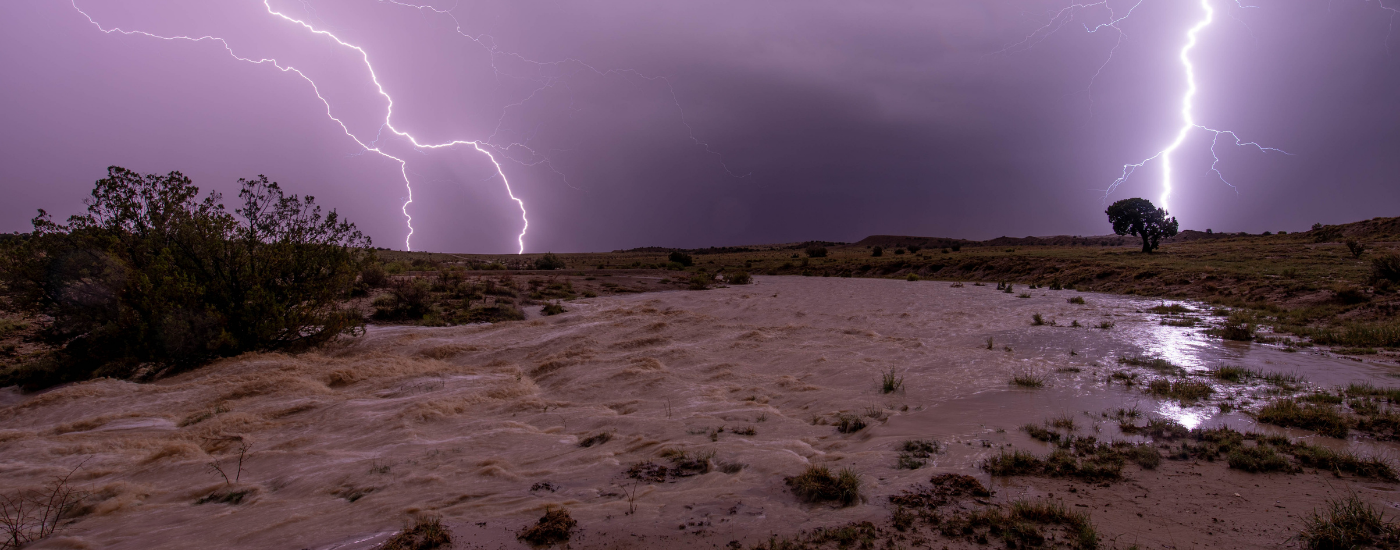 Hippo’s Tippos for Monsoon Season