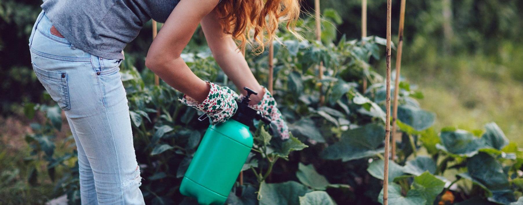 A young woman leans over a garden holding a large spray bottle and spraying plants