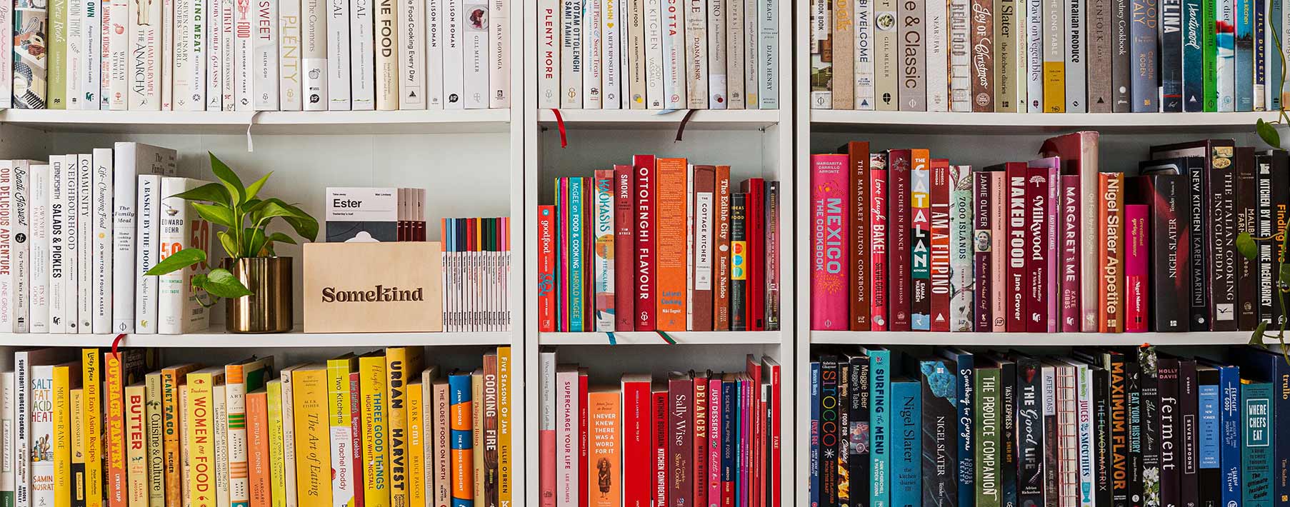 Image of colorful books on a white bookshelf