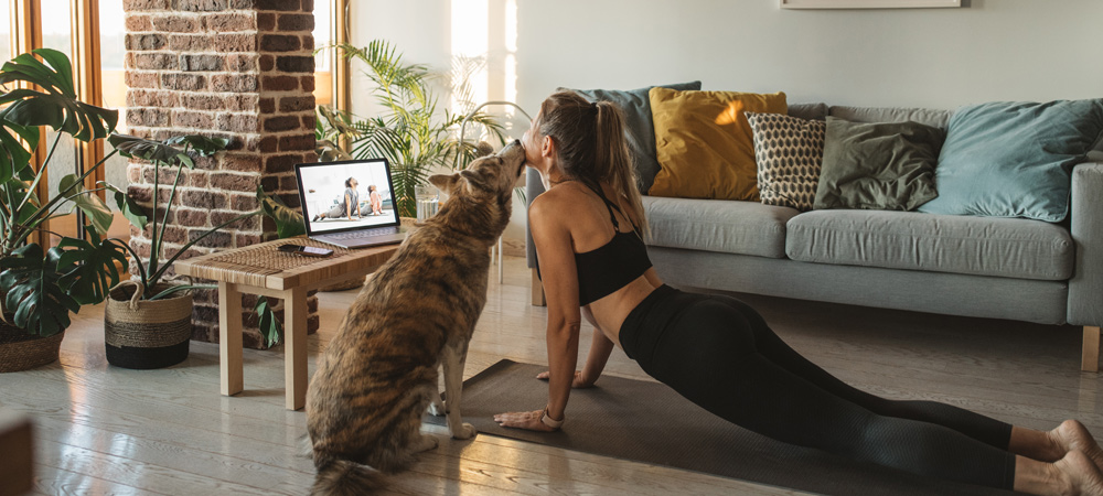 Image of female doing yoga in front of laptop with dog