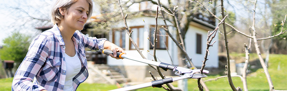 homeowner cutting branches near their home