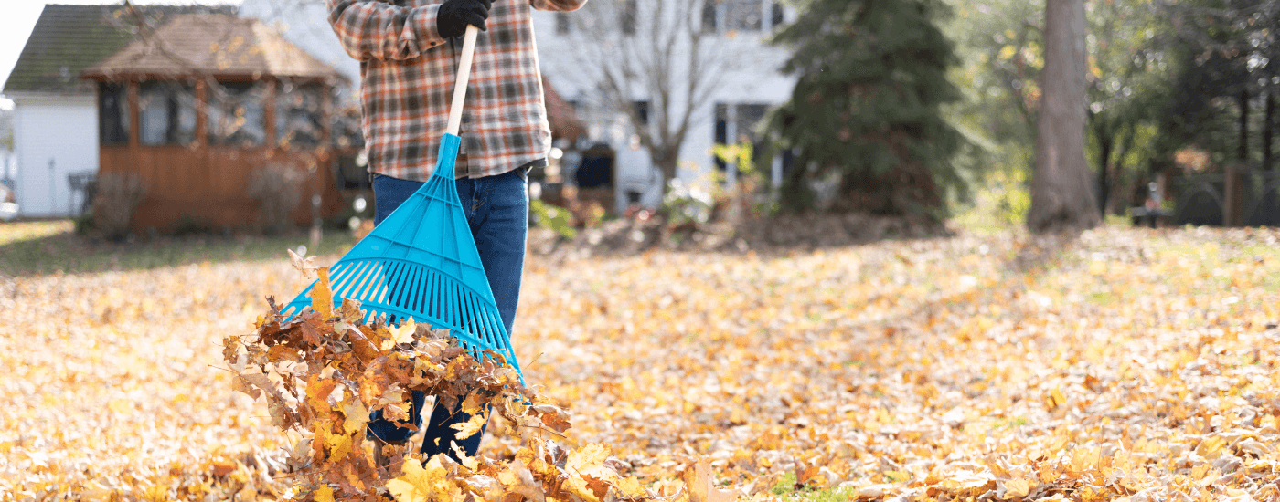 homeowner raking leaves on their property