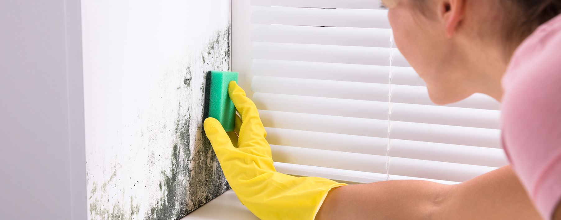 A woman wearing a rubber glove scrubbing mold off a wall with a sponge.