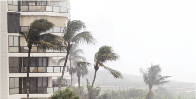 Image of a hotel and palm trees with wind and rain