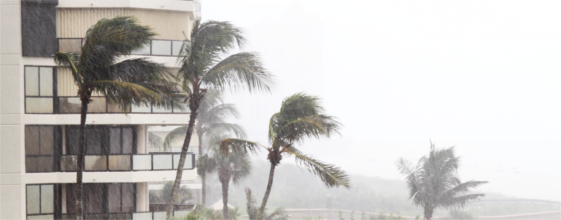 Image of a hotel and palm trees with wind and rain