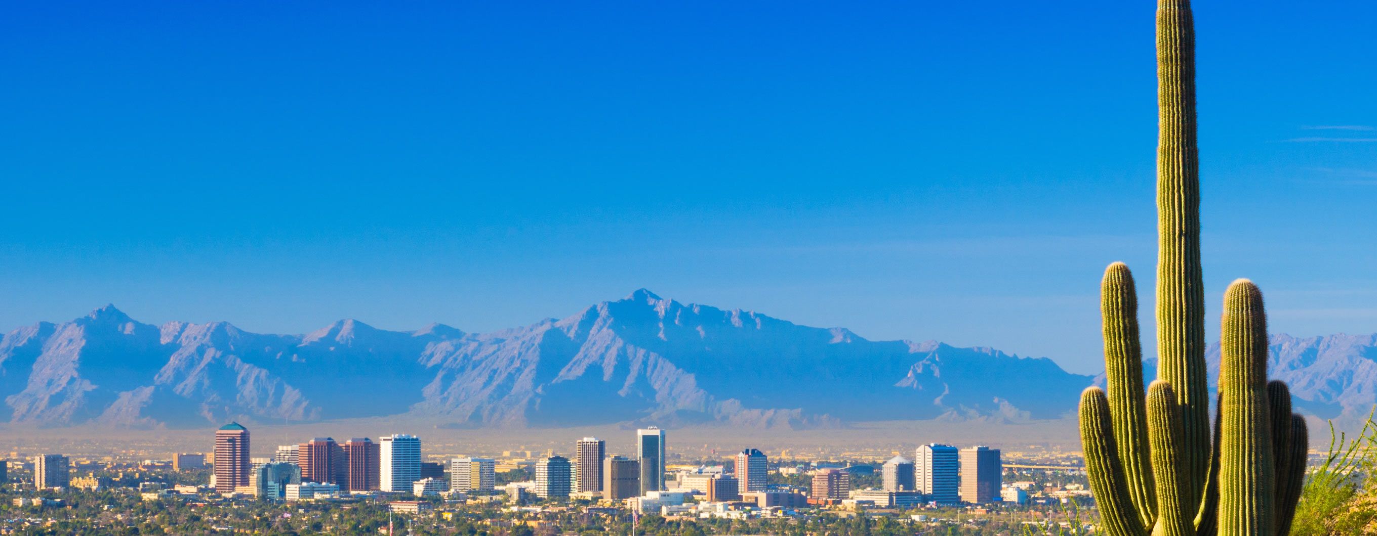 Image of a city in Arizona with mountains in the background and a cactus in the front right of the picture