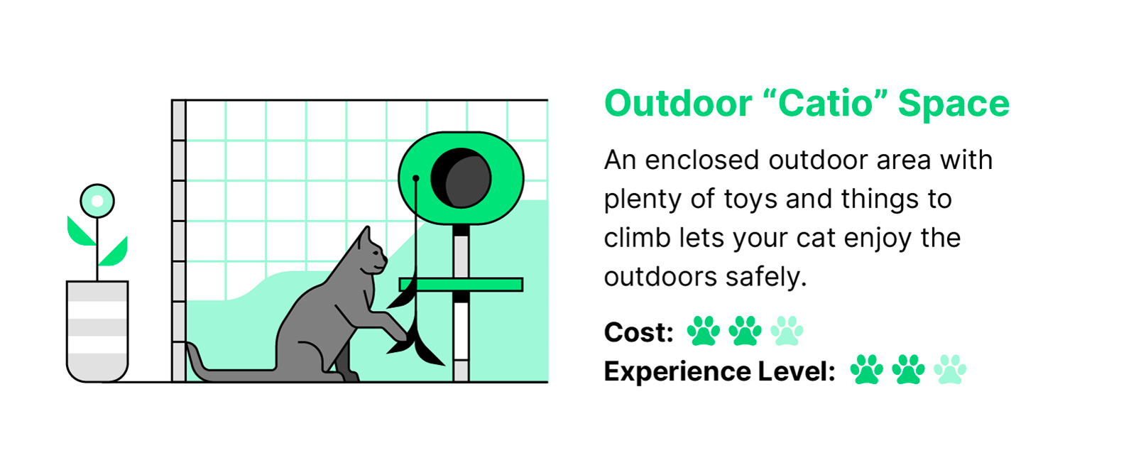Green black and white illustration of a cat in an outdoor enclosure playing with a toy with text