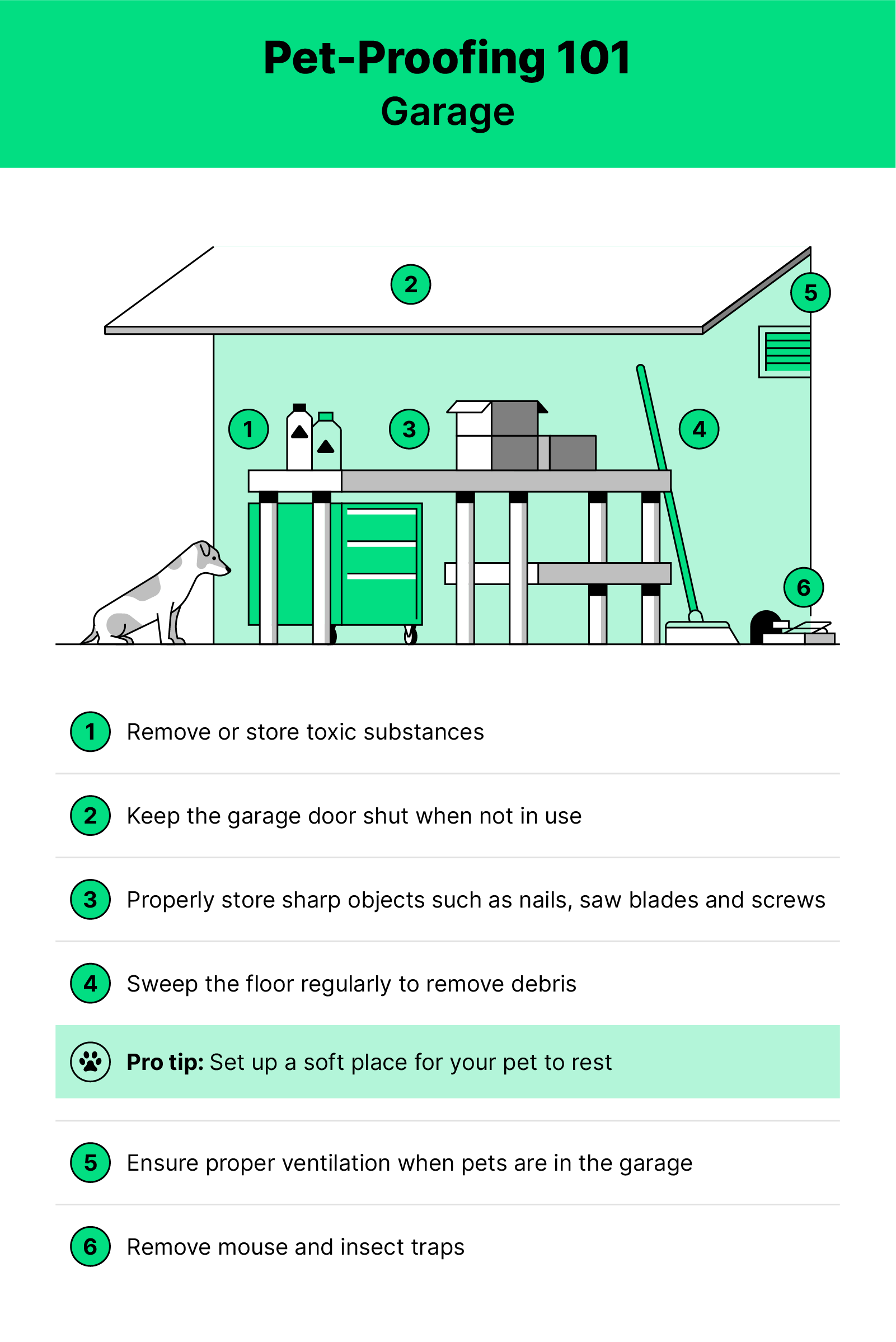 Green white and black illustration of a garage with a dog inside and pet proofing tips