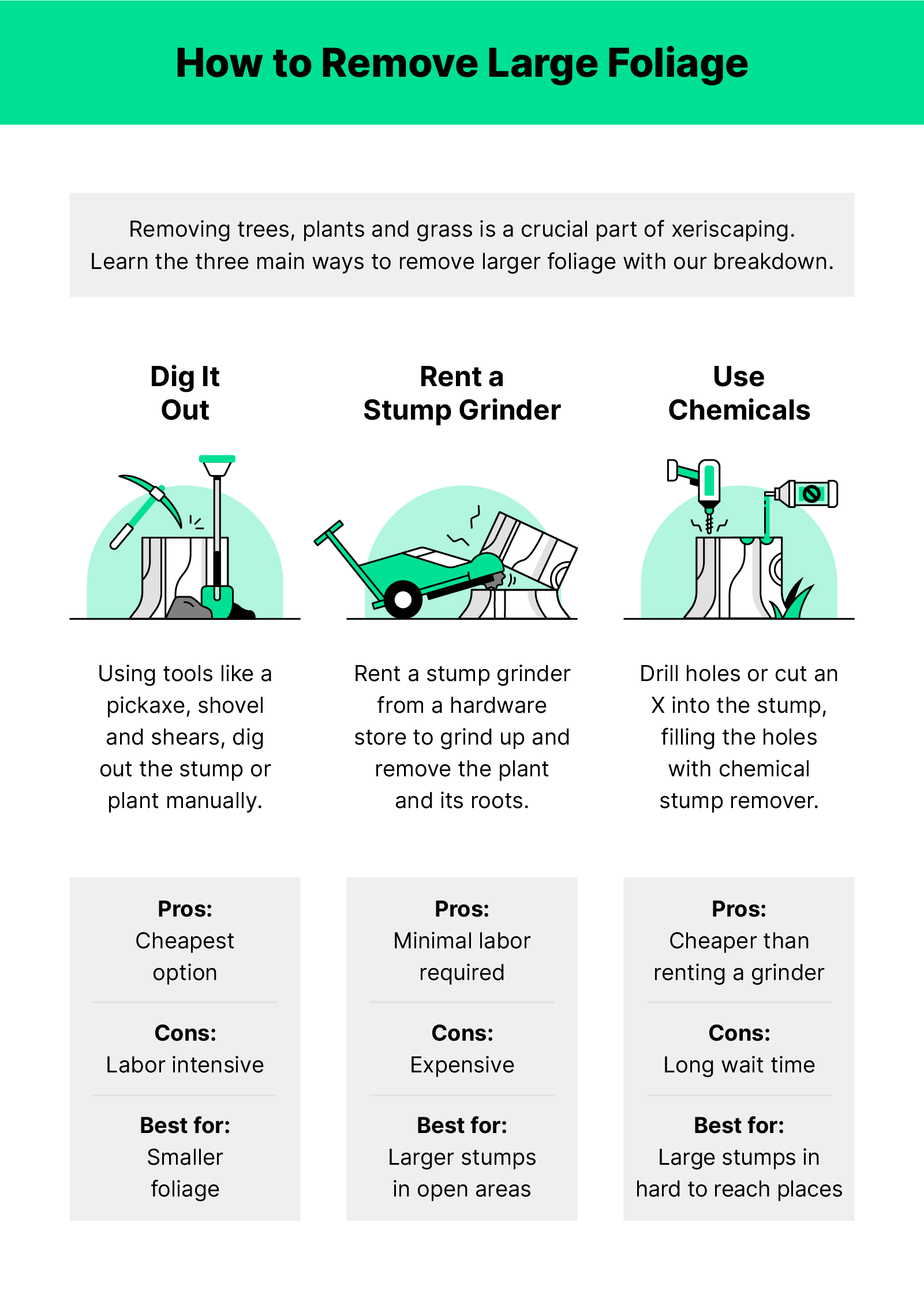 Illustrations of stumps with different removal techniques