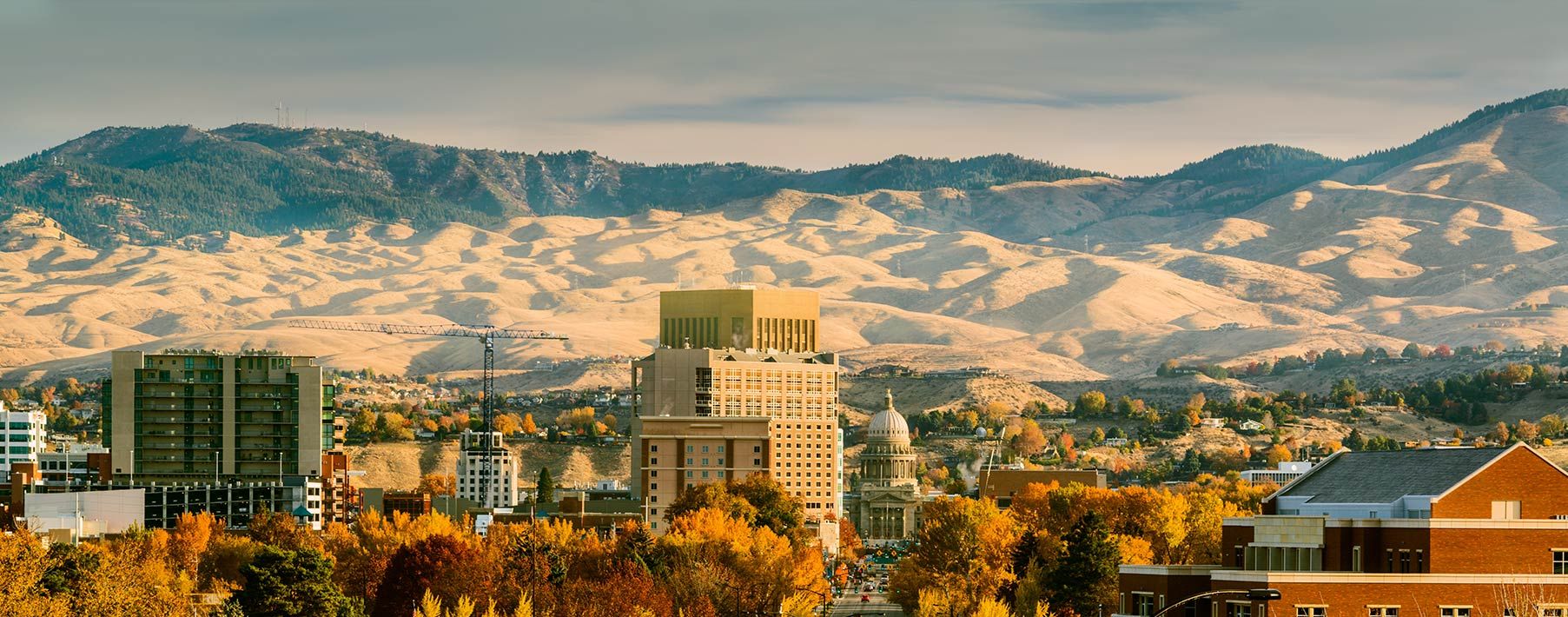 Image of a city street in Boise with fall foliage, buildings and mountains in the background