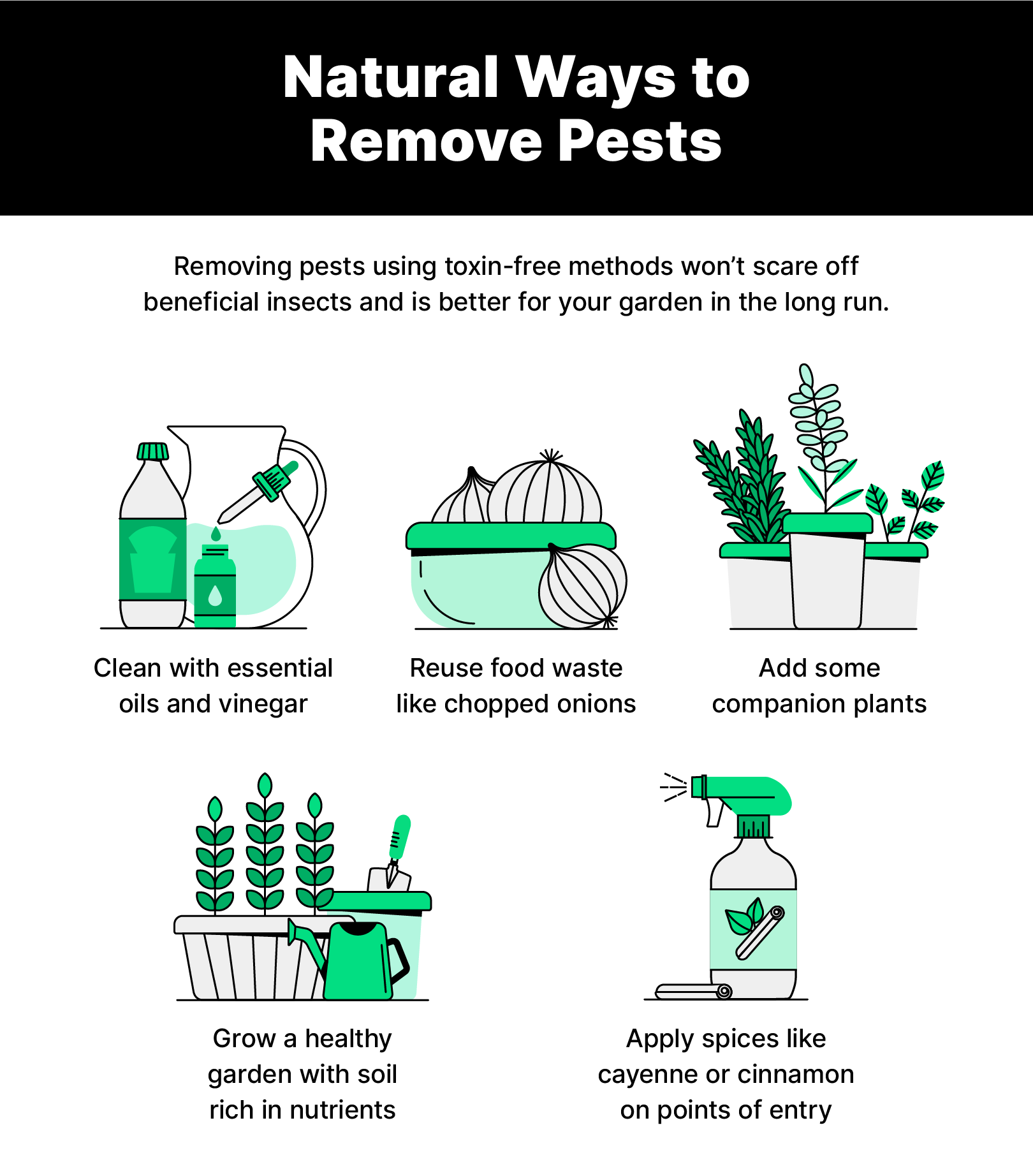 Illustrations and copy on natural ways to remove pests