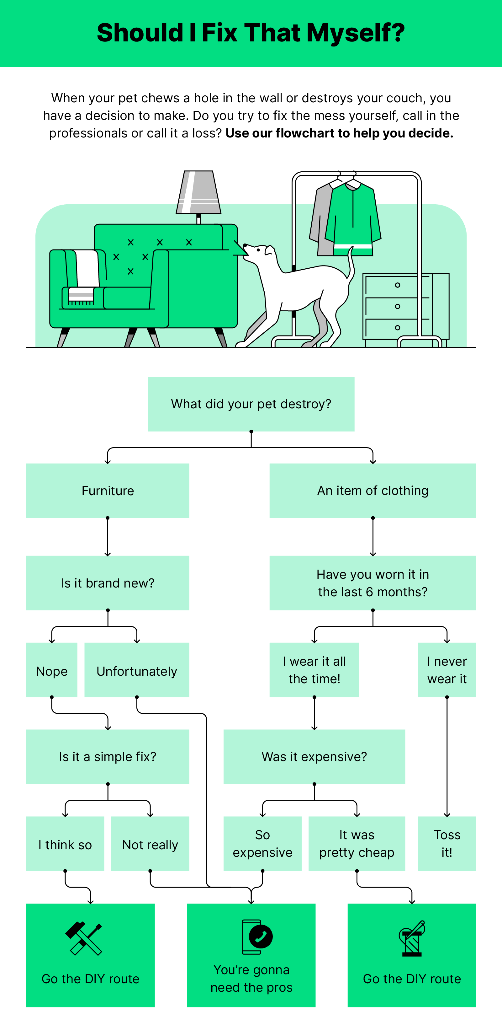 Green black and white illustration of a flowchart with a dog destroying furniture above