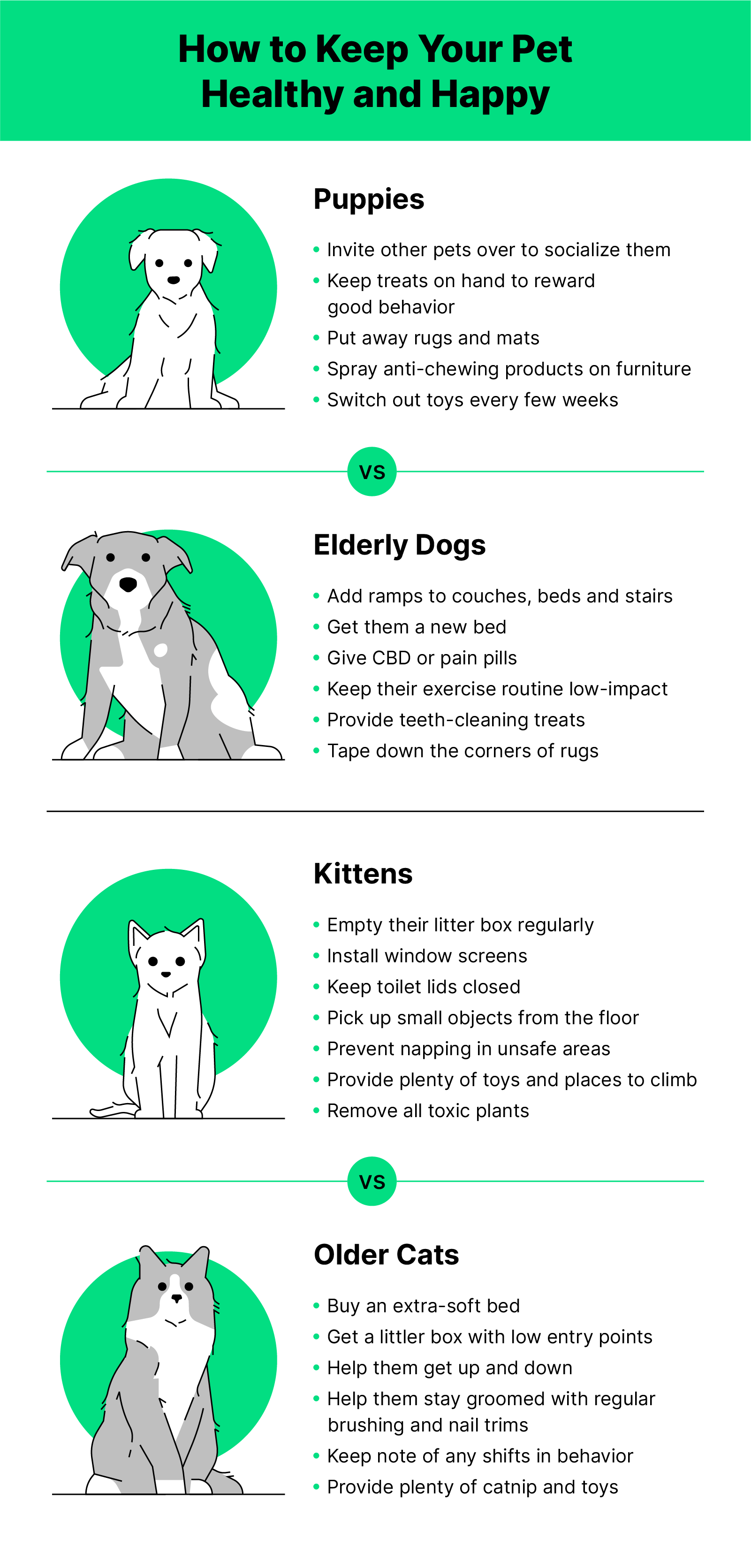 Illustrations of puppies, dogs, kittens and cats with tips