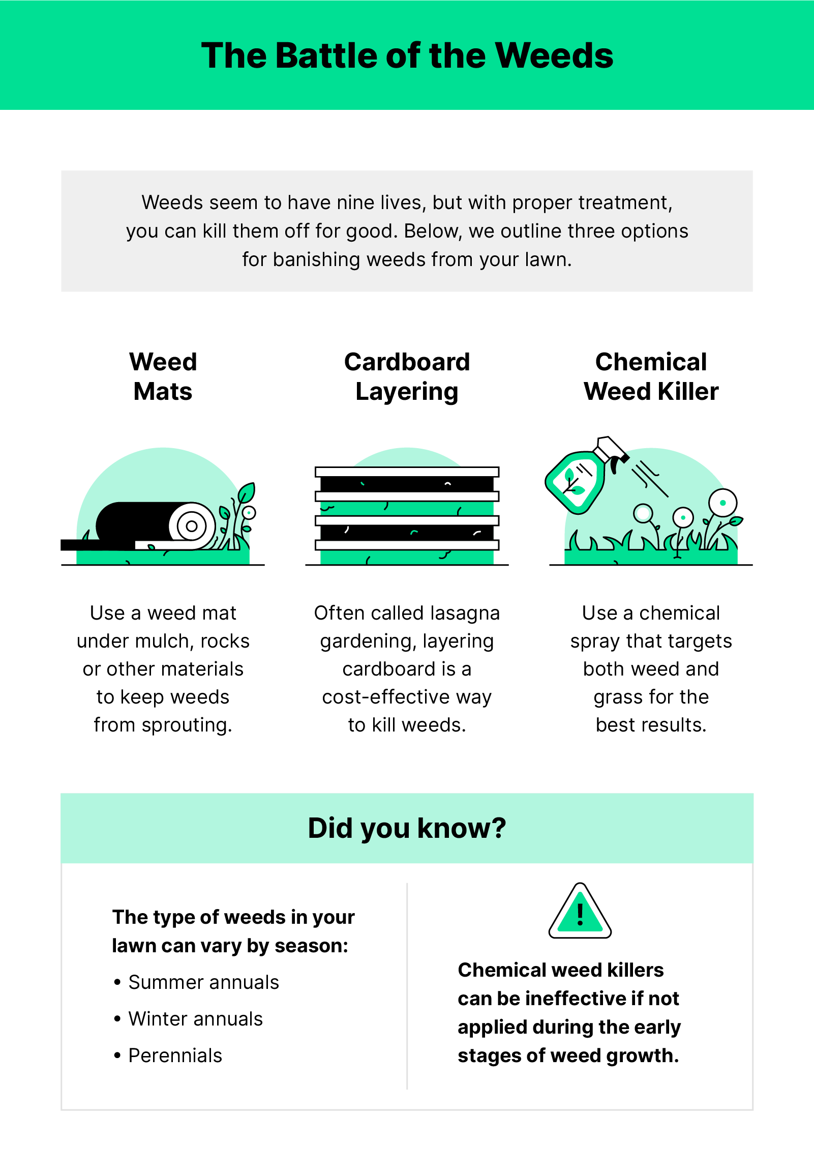 Illustrations of a weed mat, cardboard boxes and chemical weed killer with text