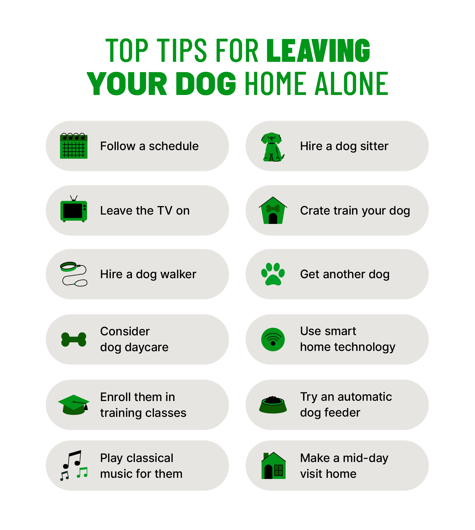 12 tips for leaving your dog home alone