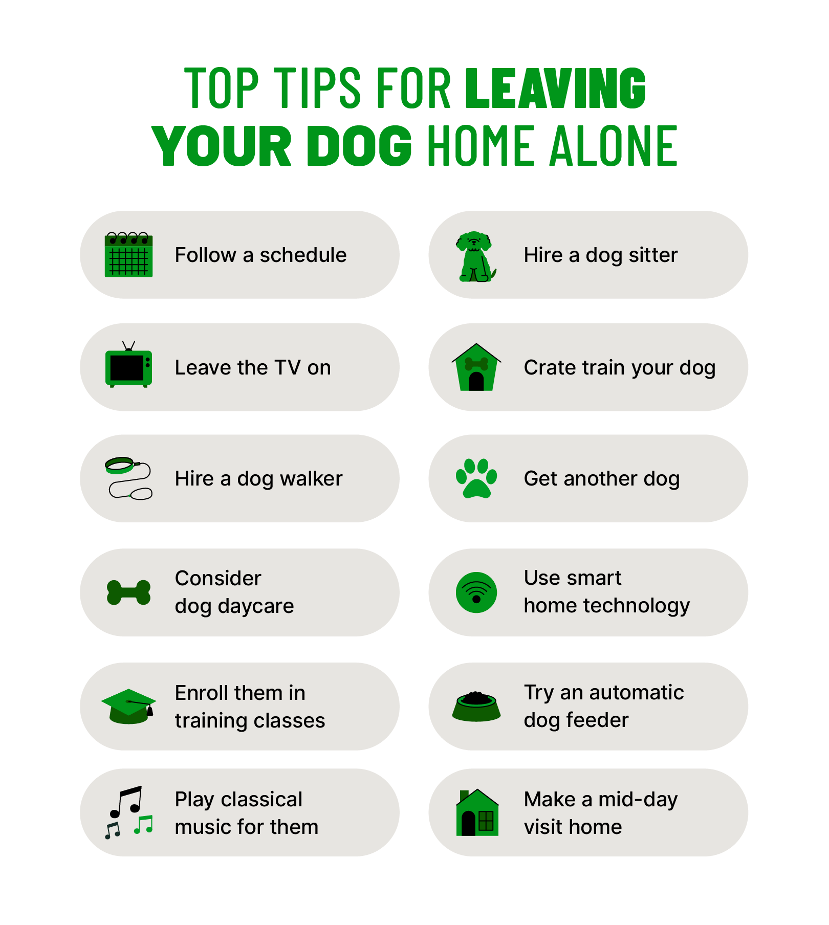 The Guilt Free Guide to Leaving Your Puppy Home Alone While at