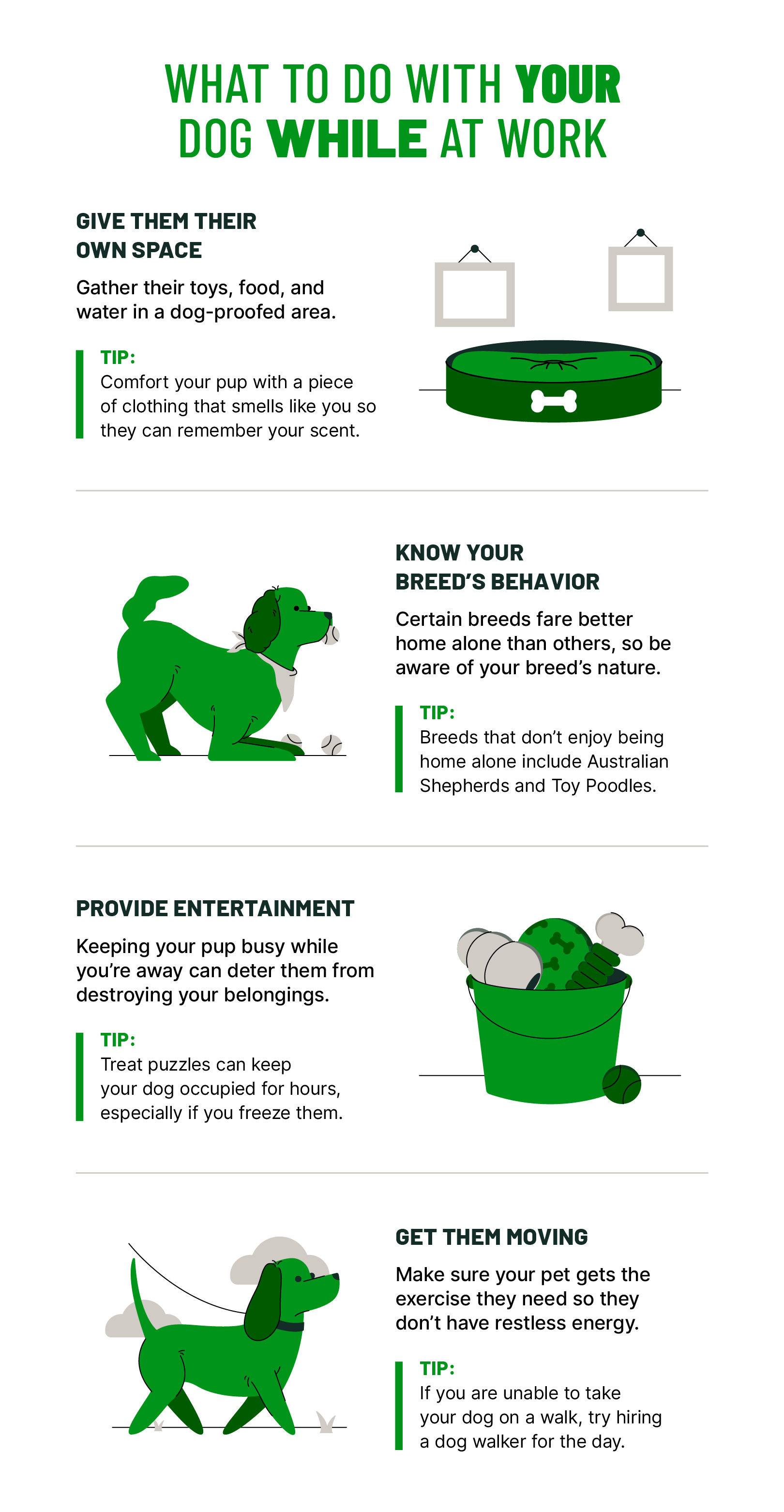 Illustrations and copy covering what to do with your dog while at work