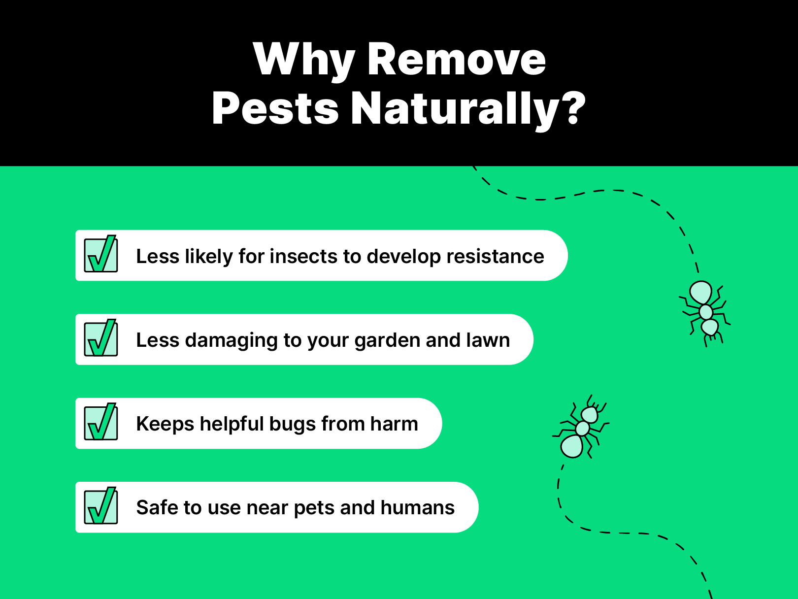 Illustrations of ants crawling with reasons to remove pests naturally