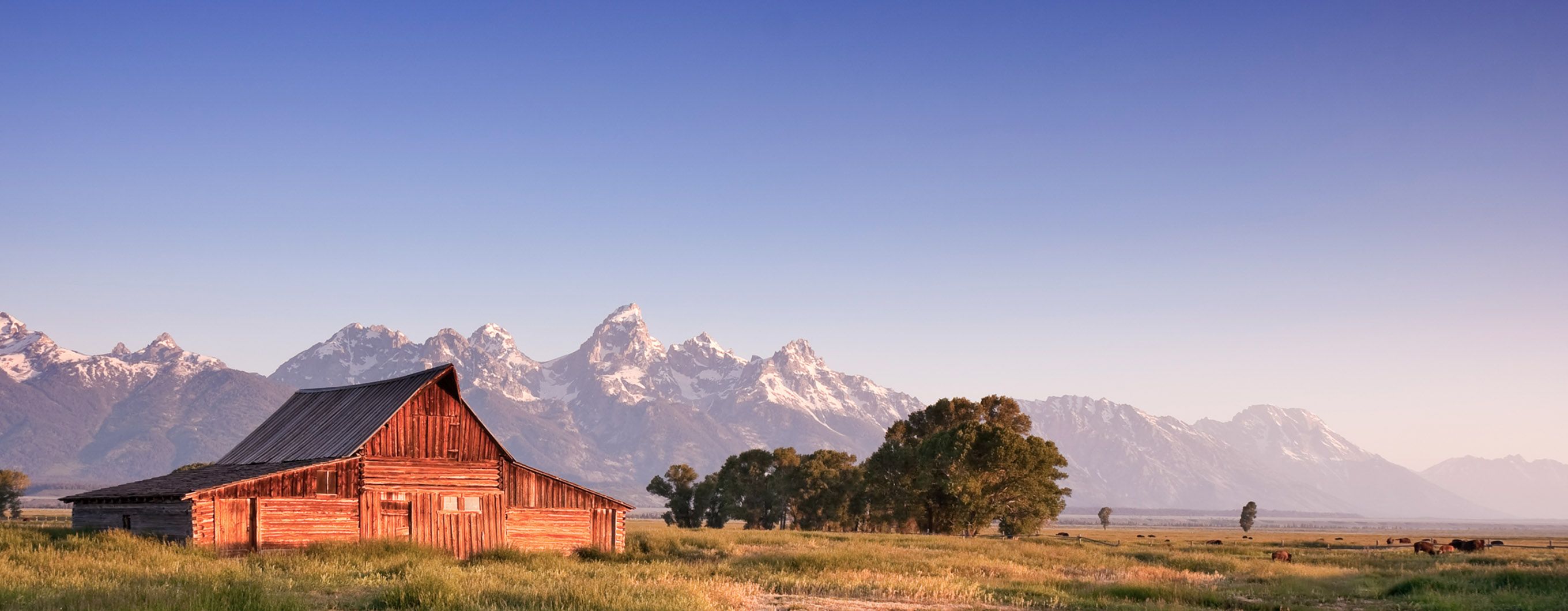 Image of red barn in a field with trees and mountains in the background