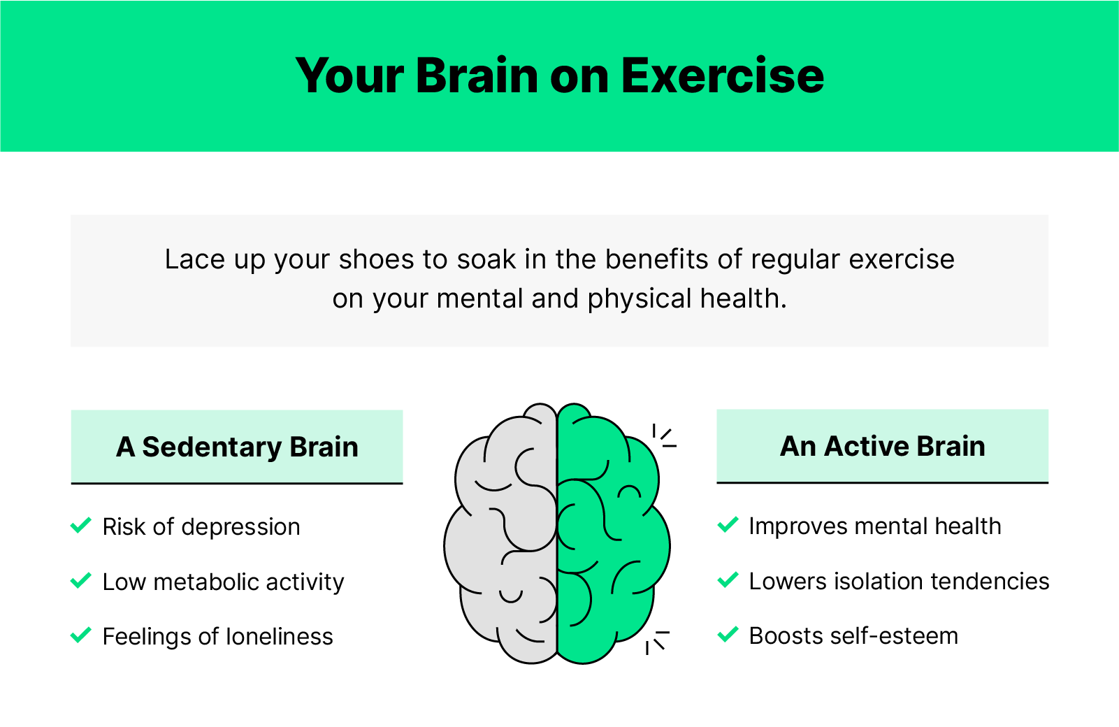 Illustration of a brain with the right side green and the left side white with info on how exercise impacts your brain