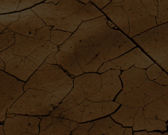 soil