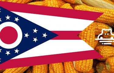 Hippo Insurance is now available in Ohio. 