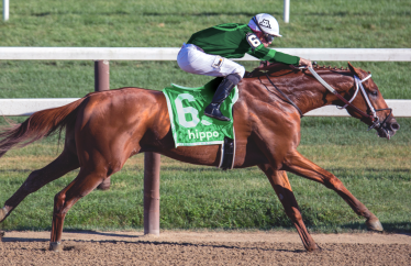 Hippo Rides into Kentucky
