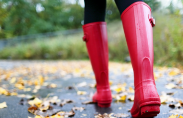 Hippo’s Tippos to Avoid Fall Floods