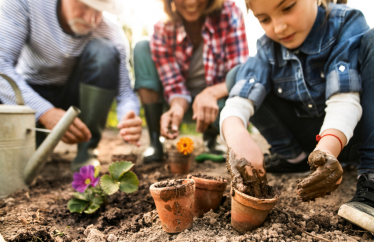 Celebrate Earth Day with These Easy Ways to Be a Green Homeowner