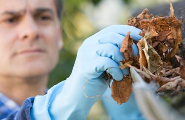 man cleaning leaves out of the gutters in the fall