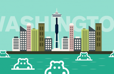 Hippo Umbrellas Washington