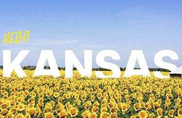 Kansas Gives a Big Midwestern Welcome to Hippo