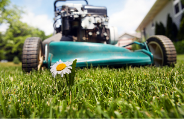 Tips to Maintain Your Lawnmower