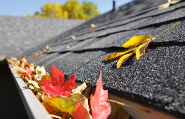 Hippo's Tippos to Clean Your Gutters