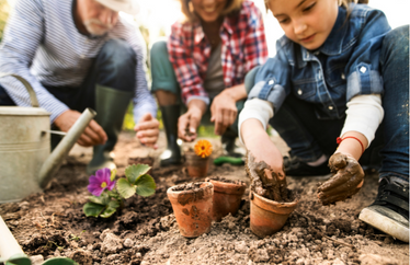 Celebrate Earth Day with These Easy Ways to Be a Green Homeowner